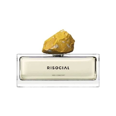 Iris Concert 鸢尾阳光