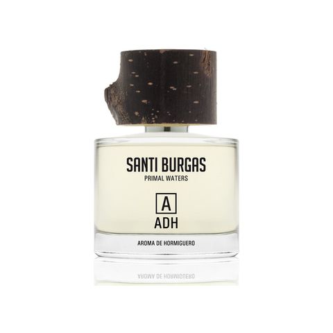 Aroma de Hormiguero