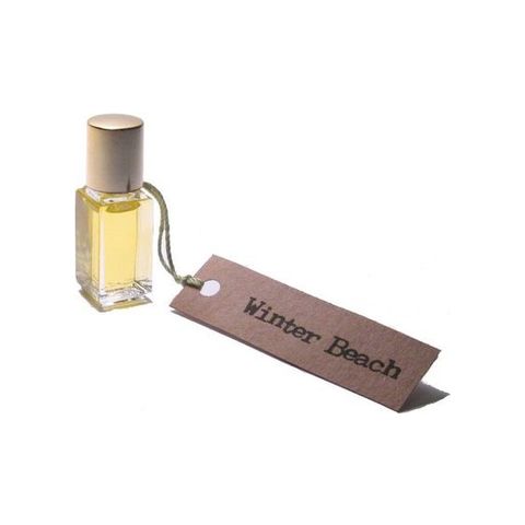 Winter Beach