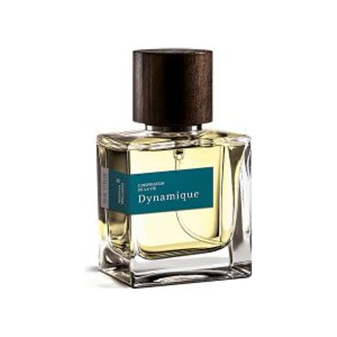 Dynamique