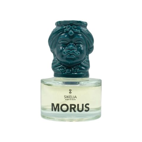 Morus