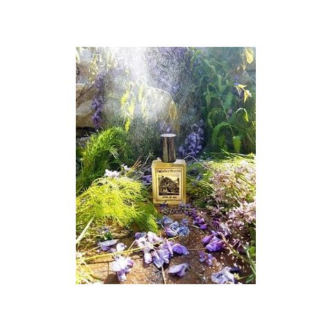After the Rain