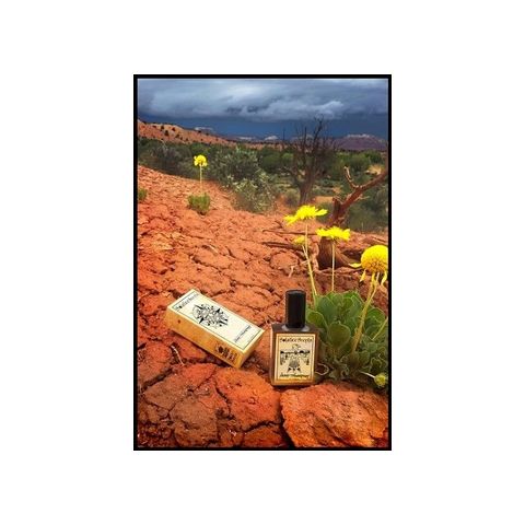 Desert Thunderstorm