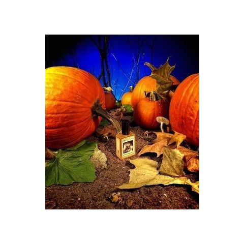 Gunnerson's Pumpkin Patch