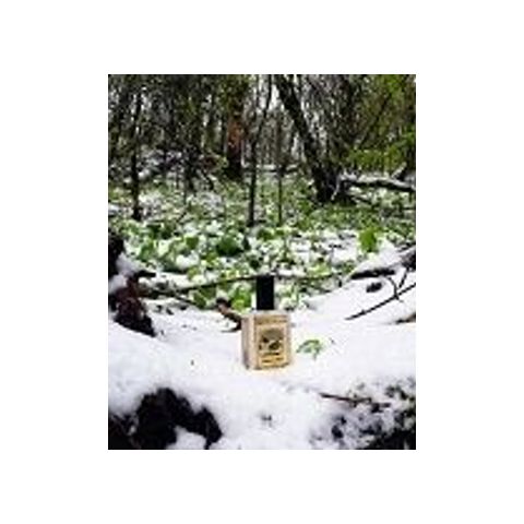 Snowmint Mallow