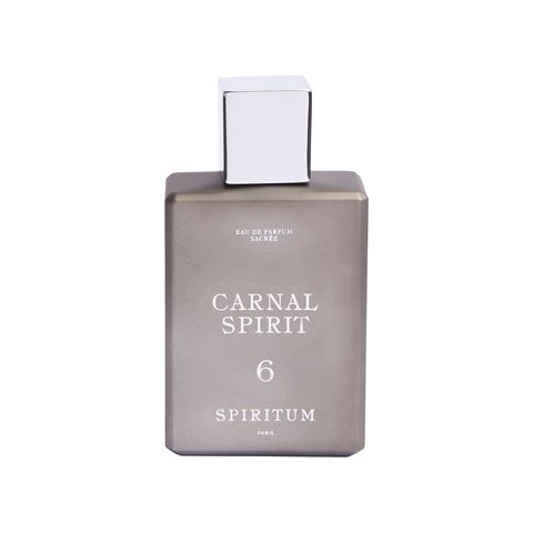6 Carnal Spirit