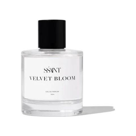 Velvet Bloom