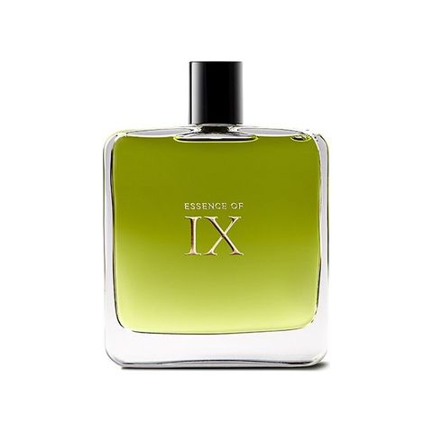 Essence of IX