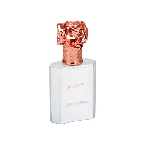 Musk 01