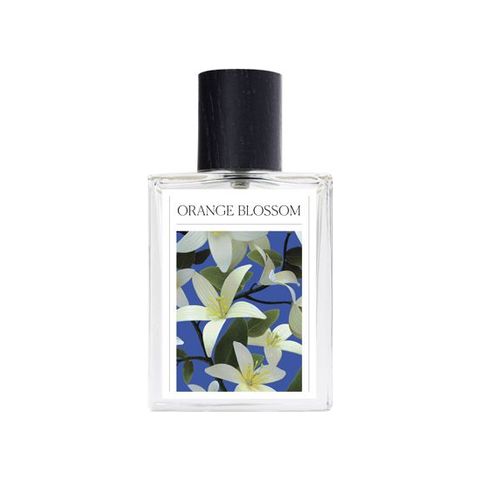 Orange Blossom