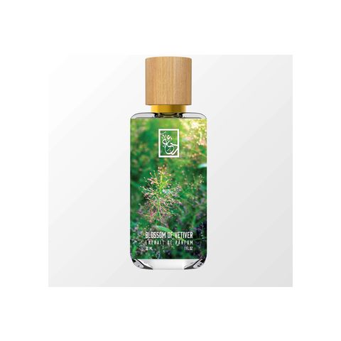 Blossom of Vetiver