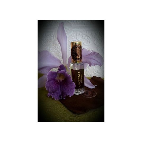 Orquidea Absoluta