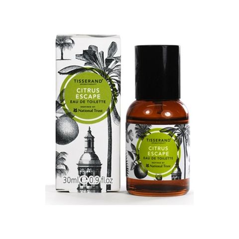 Citrus Escape