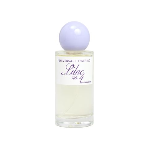 Lilac No.4