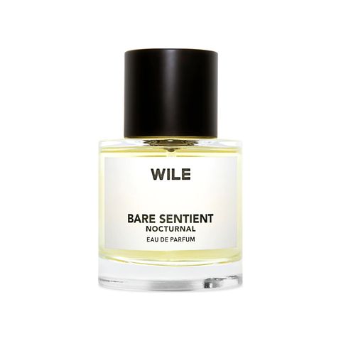 Bare Sentient Nocturnal