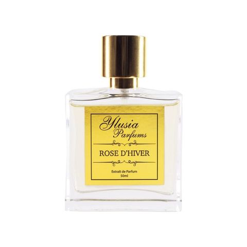 Rose d'Hiver