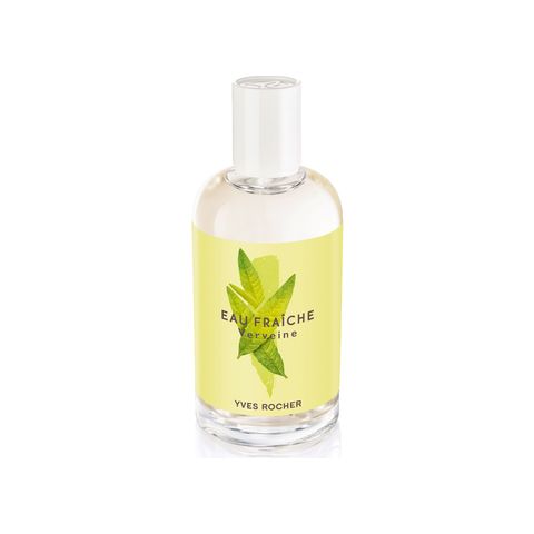 Lemon Verbena (Verveine)