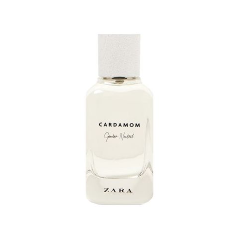 Cardamom - Gender Neutral